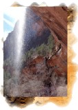 Zion tours