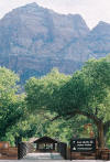 Zion tours