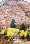 Zion National Park
