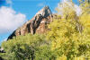 Zion National Park