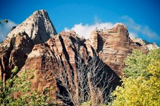 Zion National Park