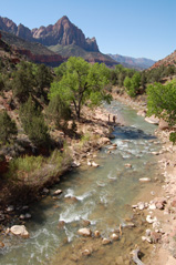 Las Vegas to Zion tour