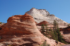Zion park tours