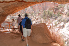 Zion tours