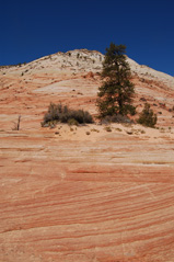 Zion tours from Las Vegas