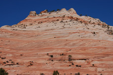 Zion park tours